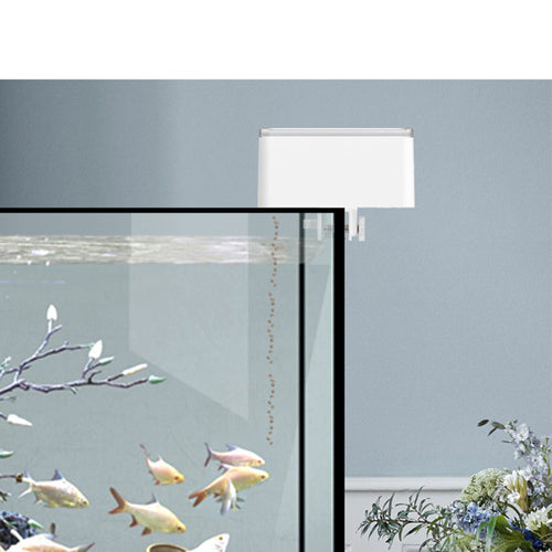 Automatic digital fish feeder mounted on aquarium with goldfish