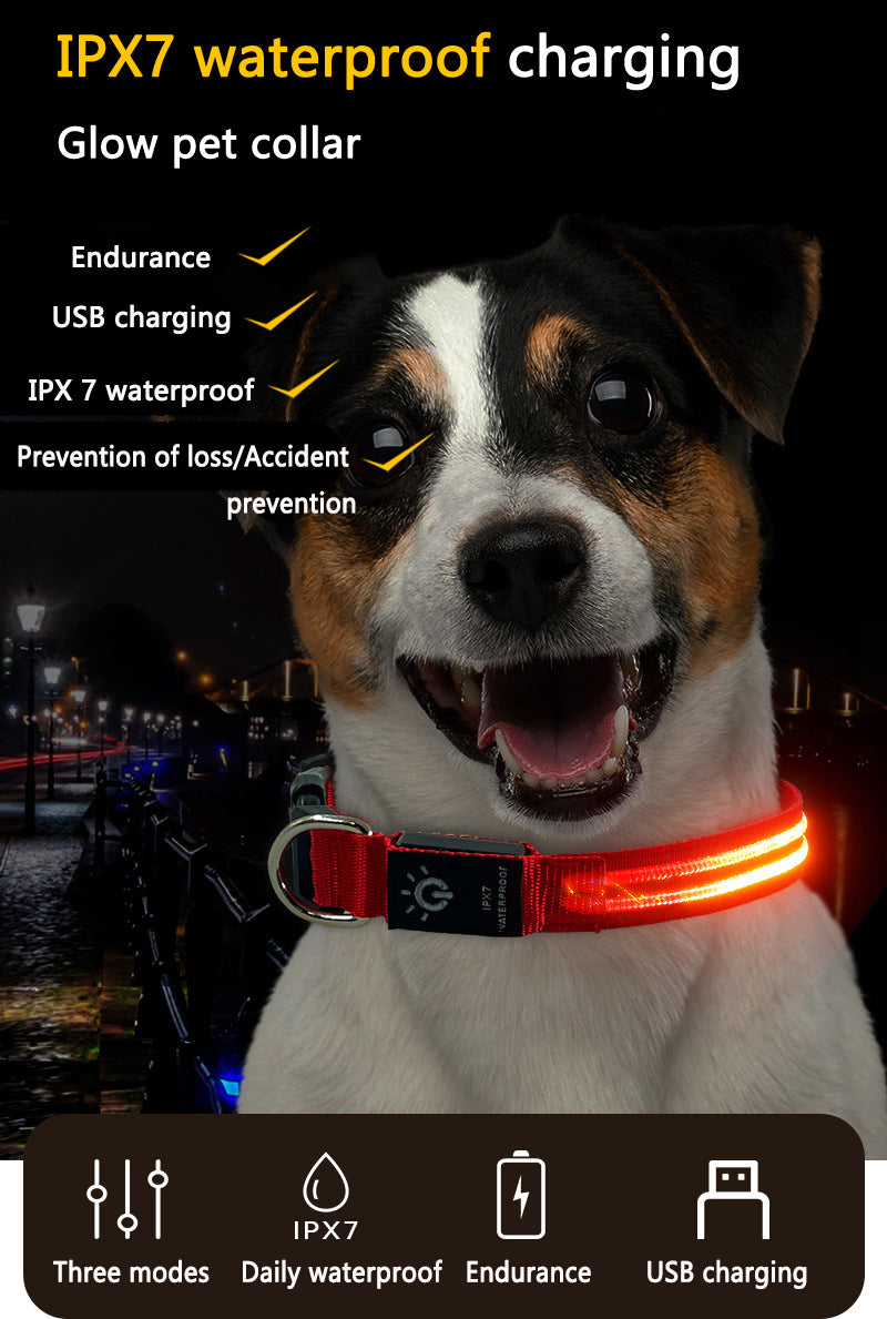Pet Luminous LED USB-Charging Night Walking Collar