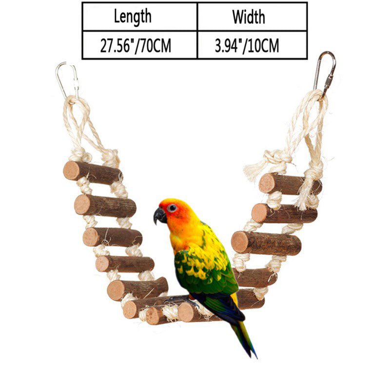 Colorful parrot perched on wooden ladder swing toy