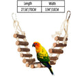 Colorful parrot perched on wooden ladder swing toy