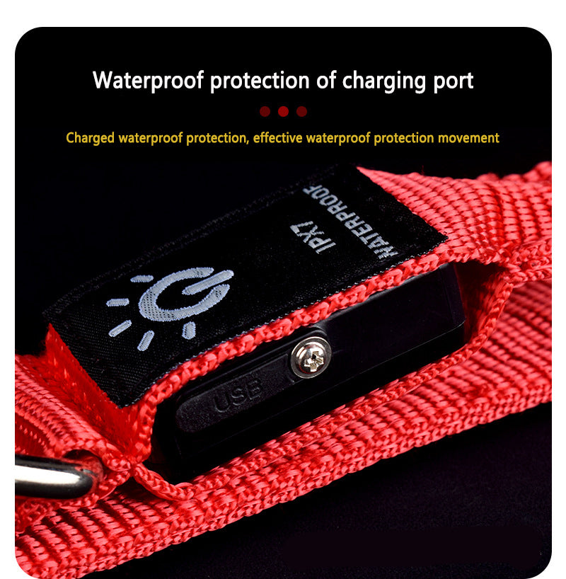 Pet Luminous LED USB-Charging Night Walking Collar