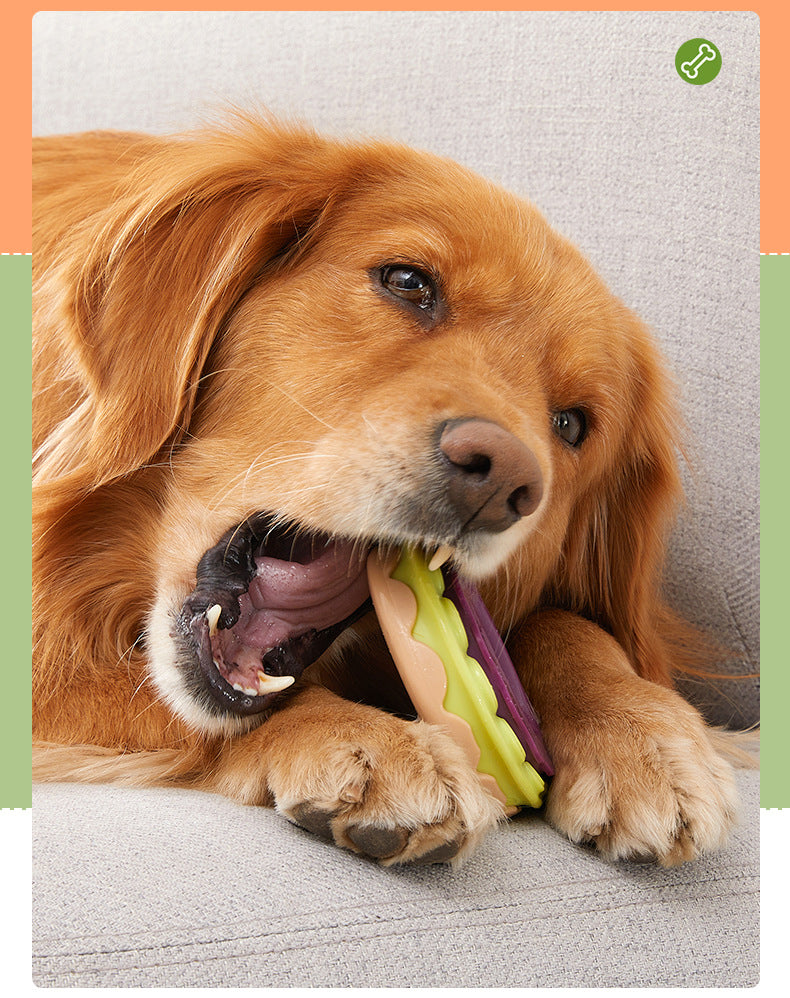 Dog Toy Bite-Resistant Molar Donut Toy (Large Dog)