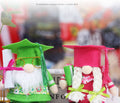 Graduation Gnome Doll Decoration (Bachelor Hat)