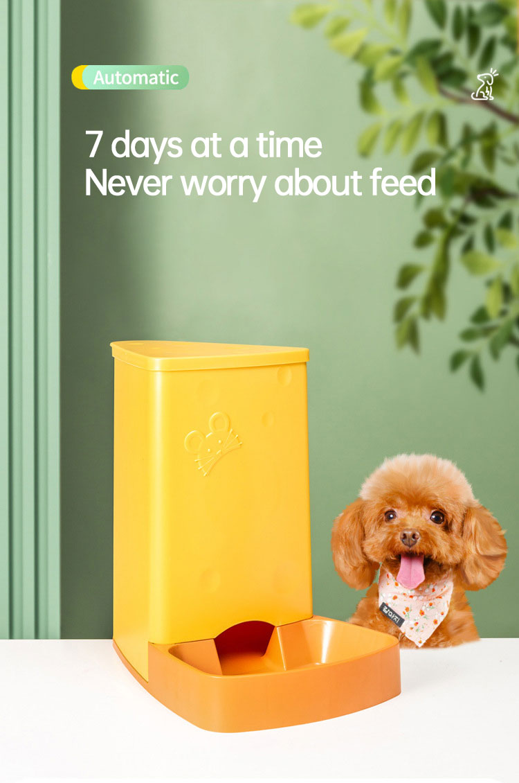 Cat Automatic Feeder/Water Pitcher Combo
