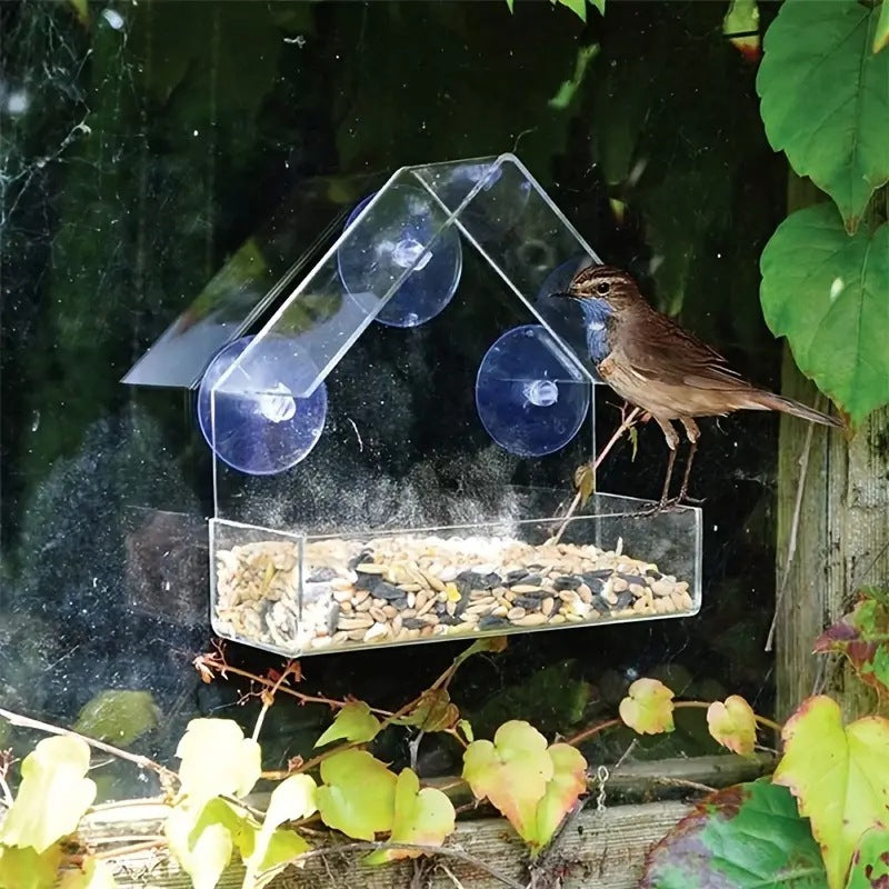 Window Bird Feeder Triangular Acrylic