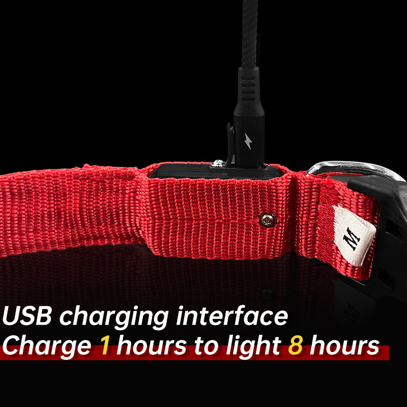 Pet Luminous LED USB-Charging Night Walking Collar