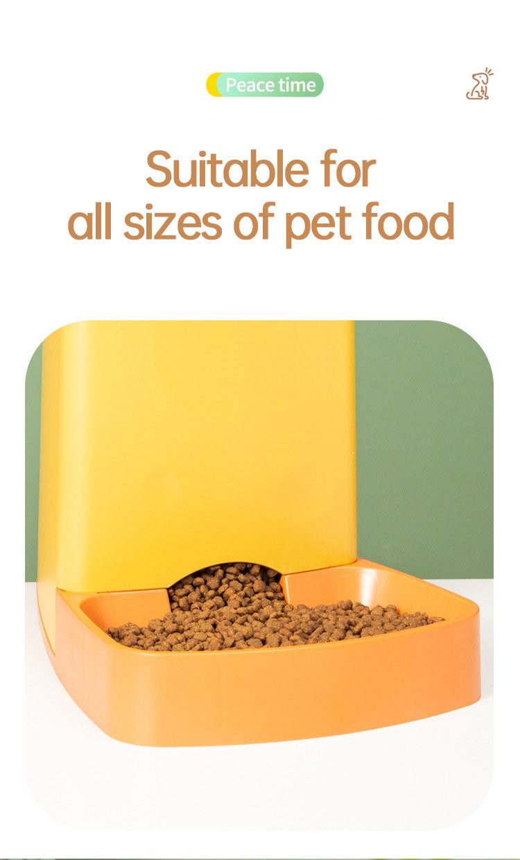 Cat Automatic Feeder/Water Pitcher Combo