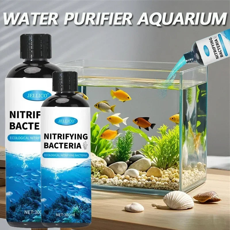 Nitrifying Bacteria Liquid Water Treatment