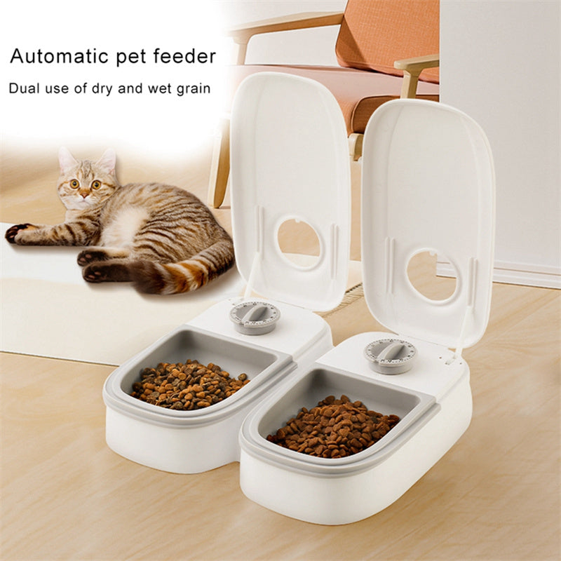 Cat next to gravity dual bowl feeder