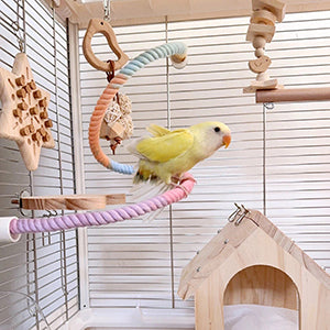 Small parrot on rope perch with cage accessories