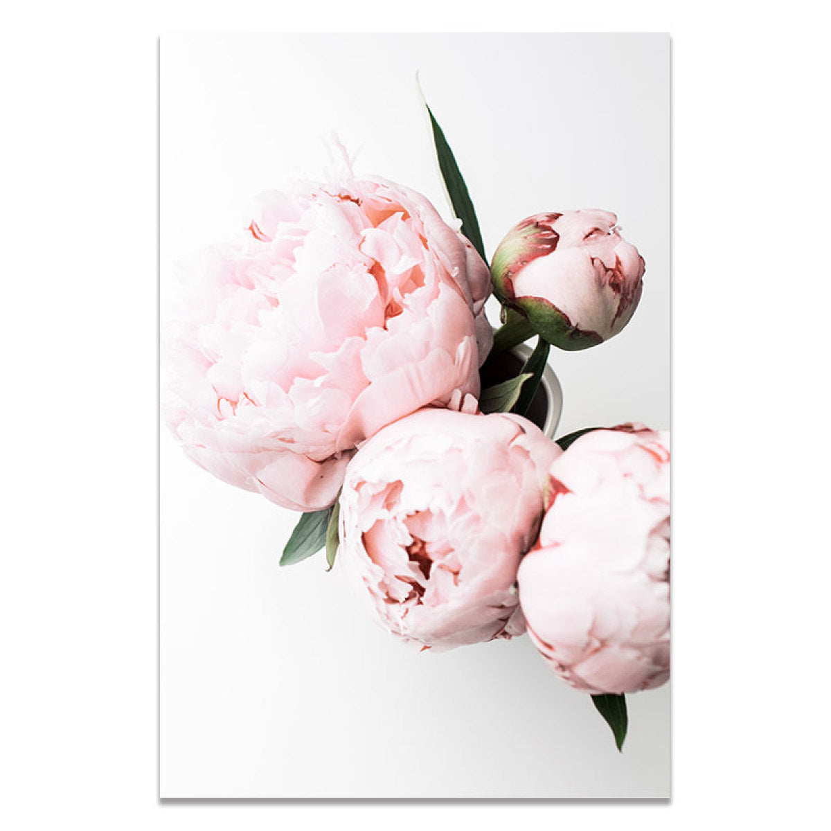 5D Diamond Painting Kit – Floral Round/Square Drill Art