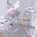 Cockatiel perched on colorful gradient rope perch in cage