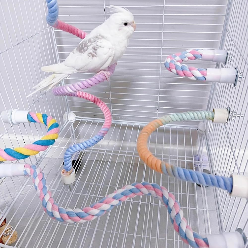 Cockatiel perched on colorful gradient rope perch in cage