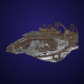 Midnight Carnival Ruins - 3D Model